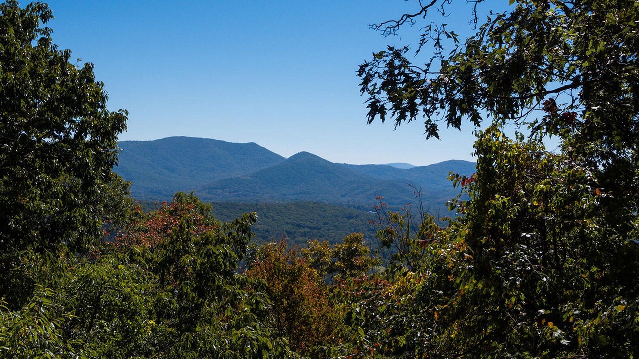 Photo of Others in Asheville