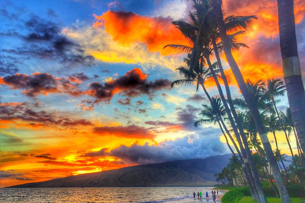 Photo of Others in Kihei