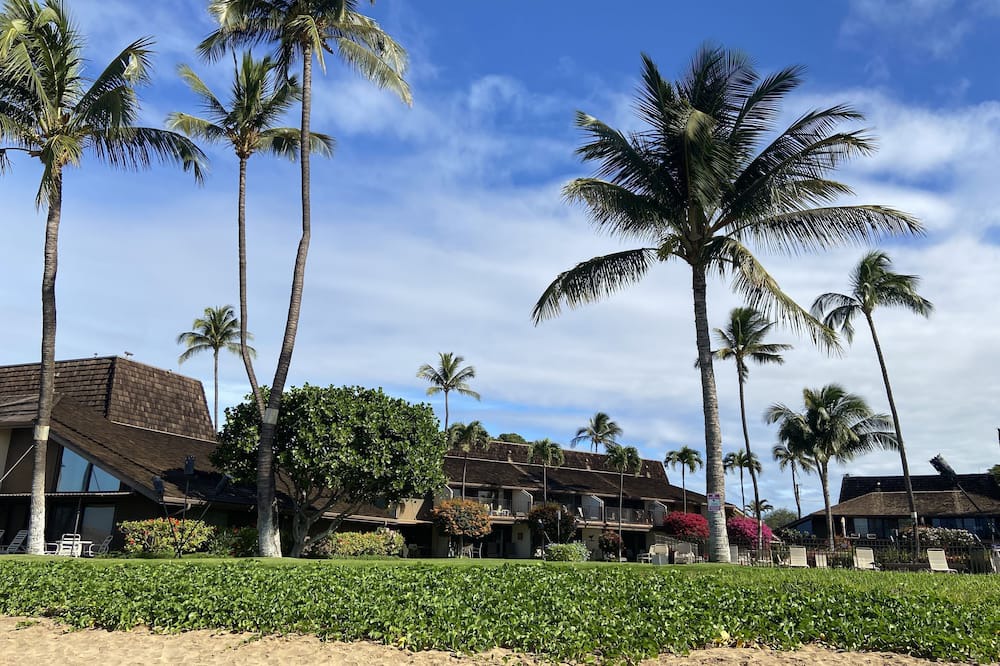 Photo of Others in Kihei