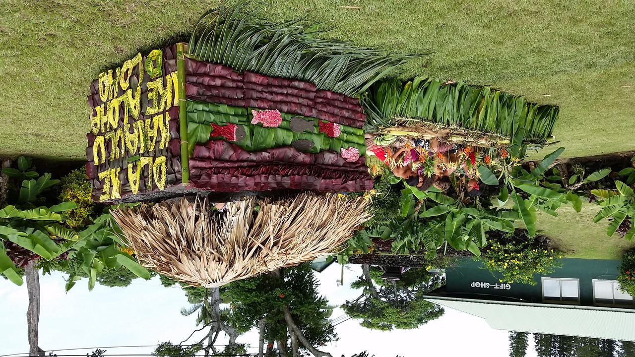 Photo of Outdoor in Hana