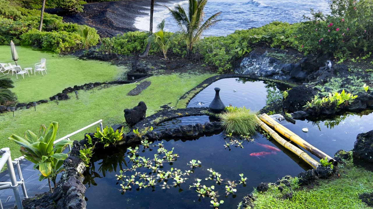 Photo of Others in Hana