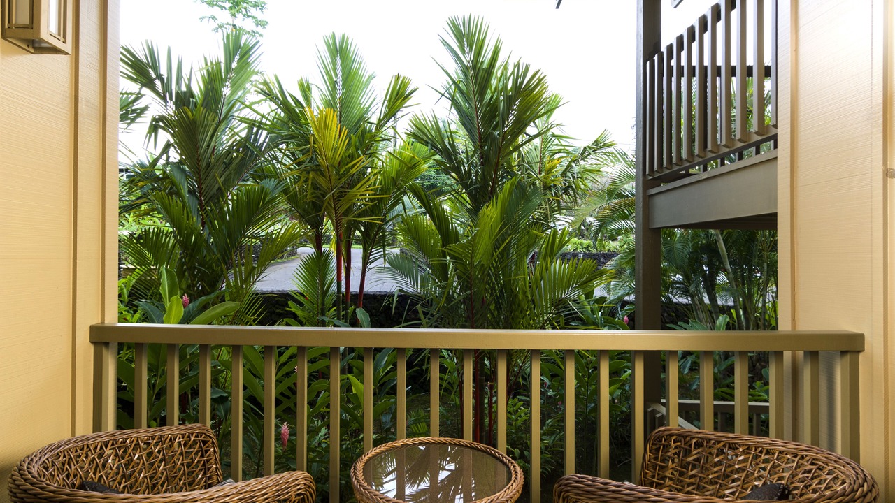 Photo of Outdoor in Hana
