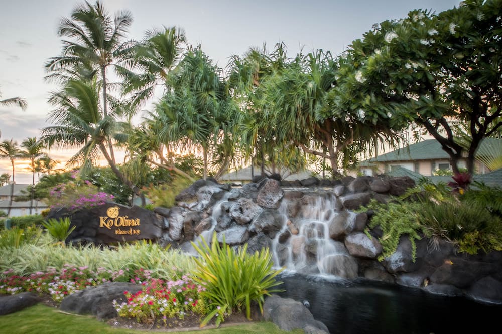Photo of Others in Ko Olina