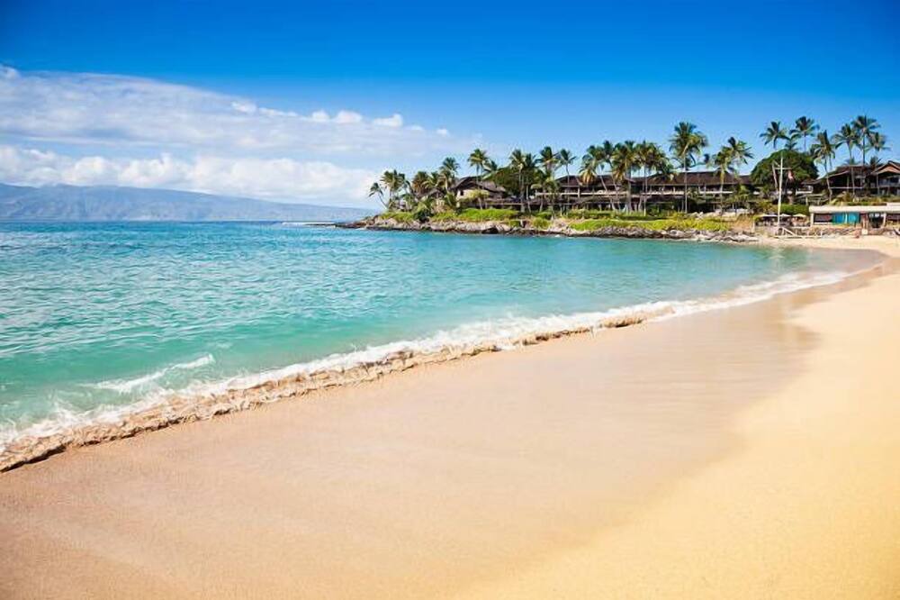 Photo of Others in Historic Lahaina Front Street