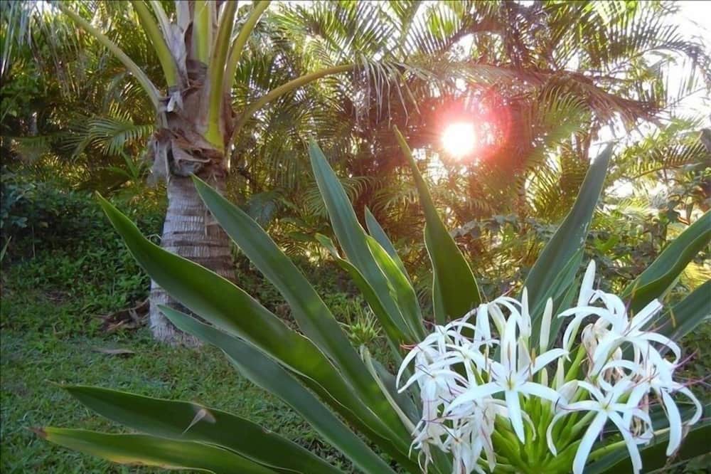 Photo of Others in Lawai