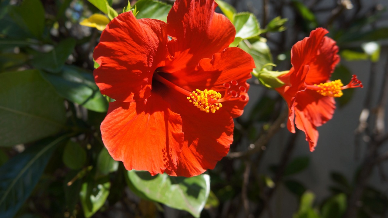 Photo of Outdoor in Kailua