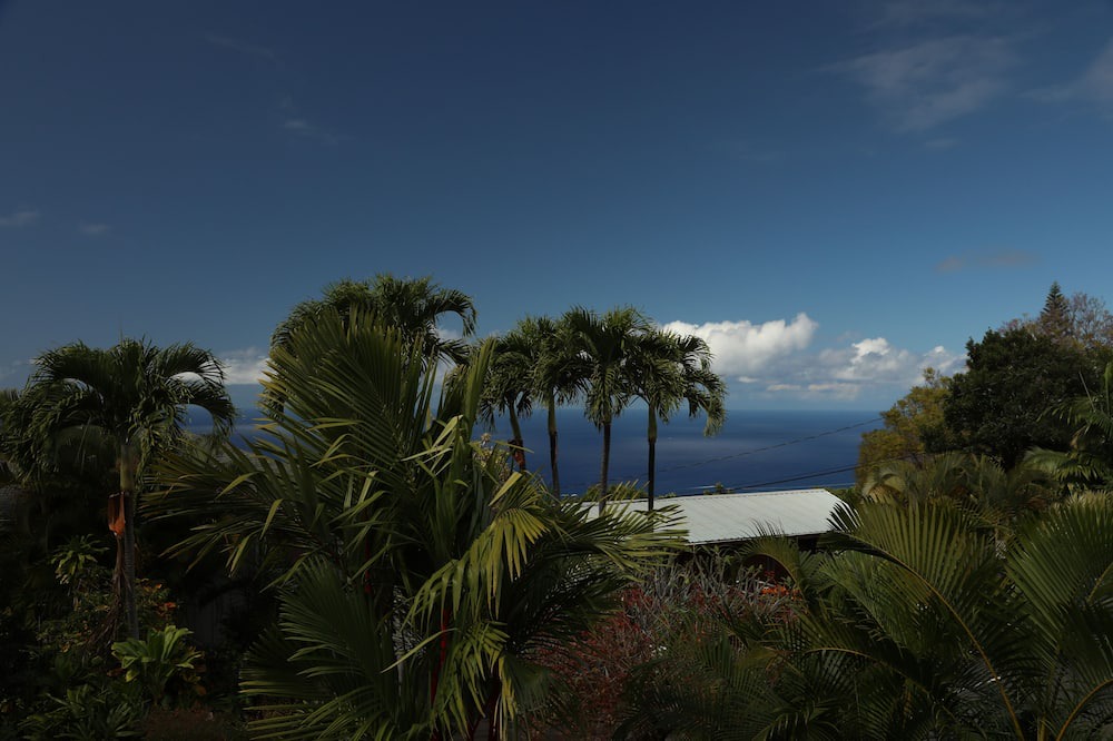 Photo of Others in Kealakekua