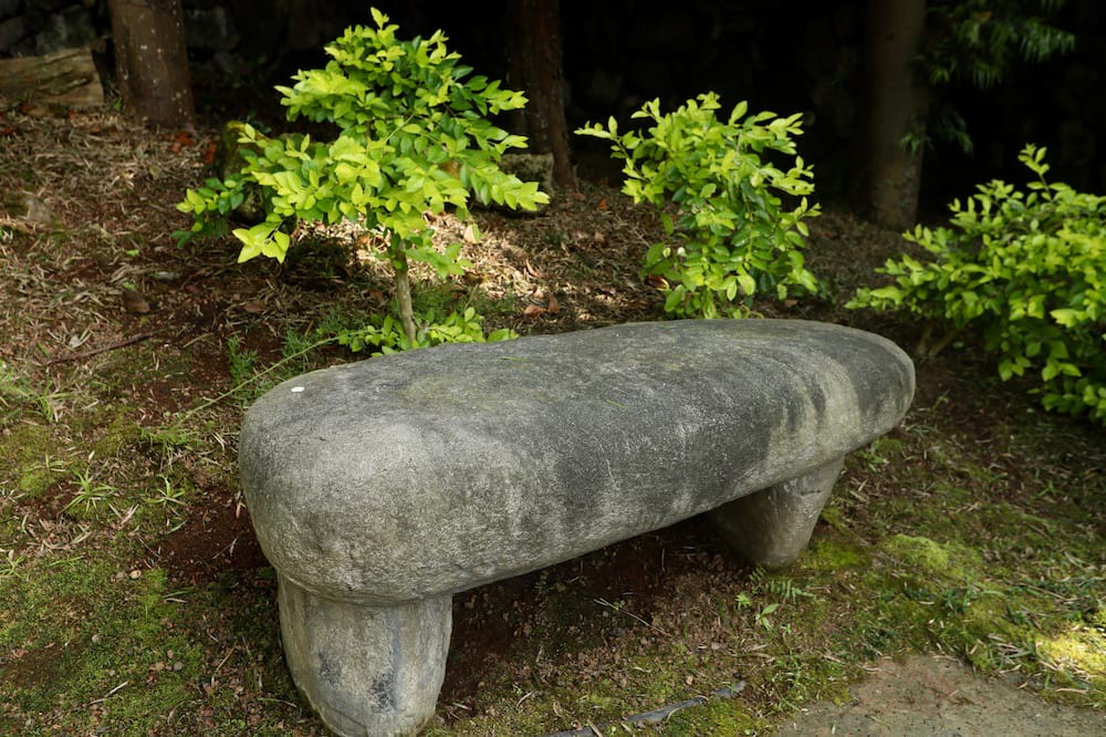 Photo of Others in Kealakekua