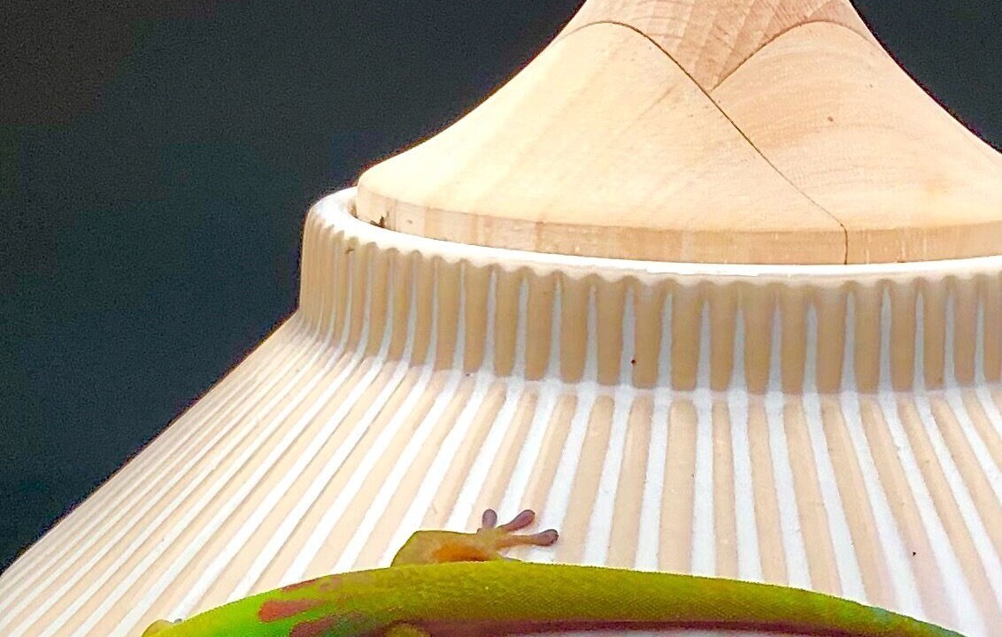 Photo of Others in Honaunau-Napoopoo