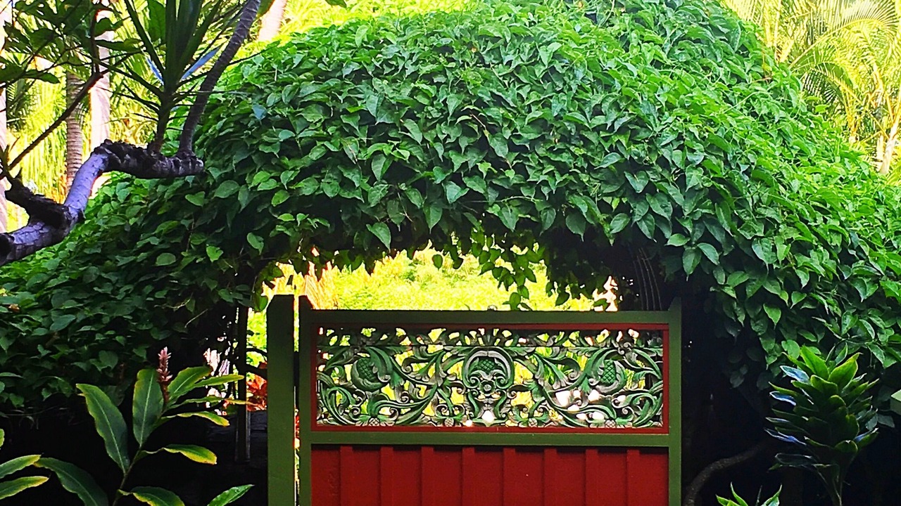 Photo of Outdoor in Honaunau-Napoopoo