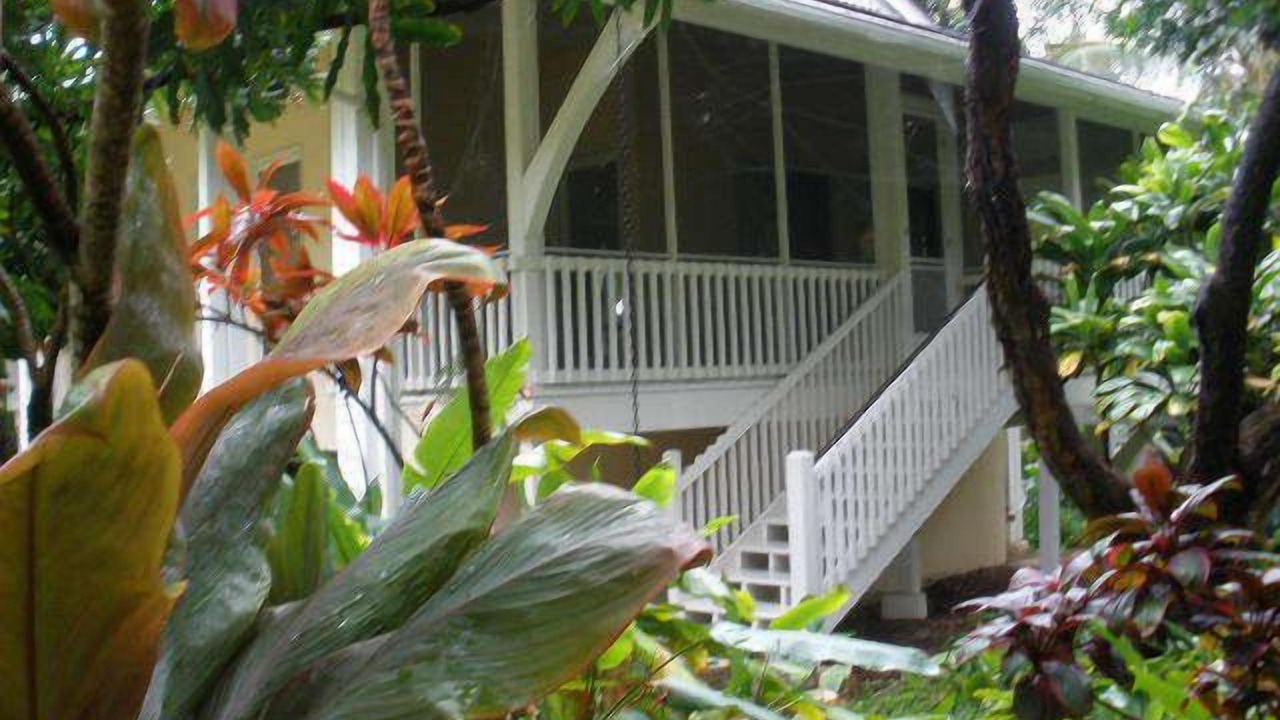 Photo of Outdoor in Kipahulu