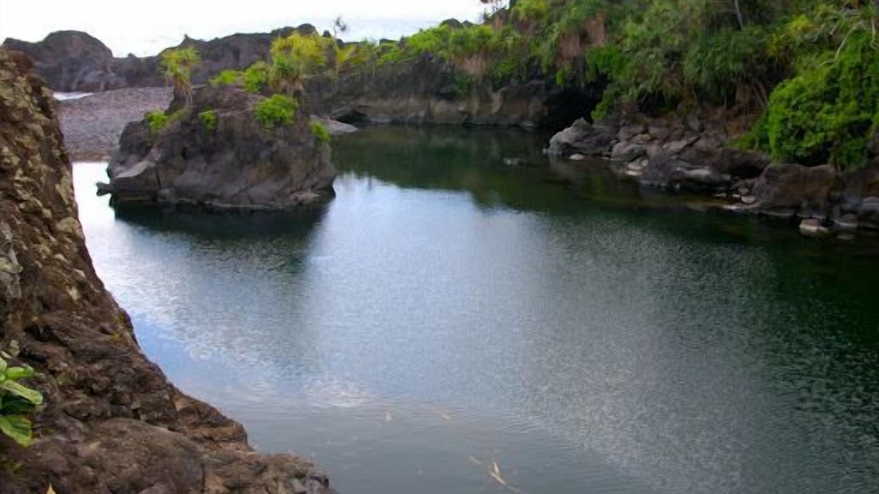 Photo of Others in Kipahulu