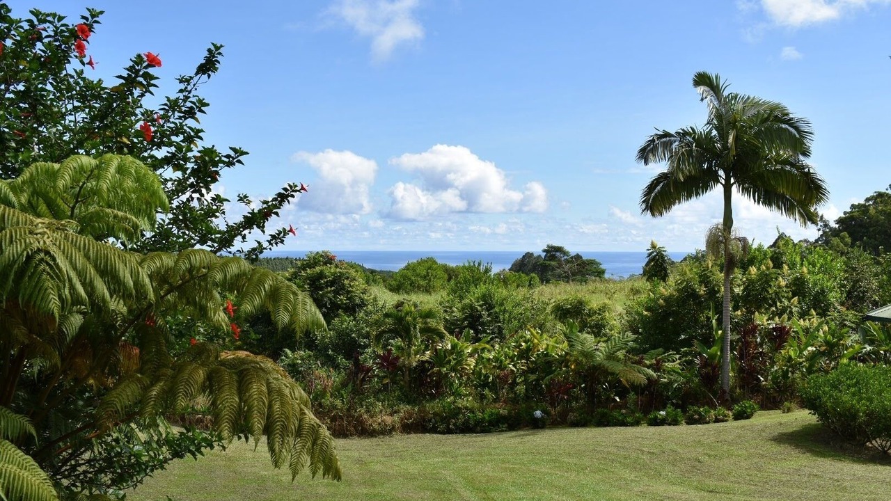 Photo of Outdoor in Pepeekeo