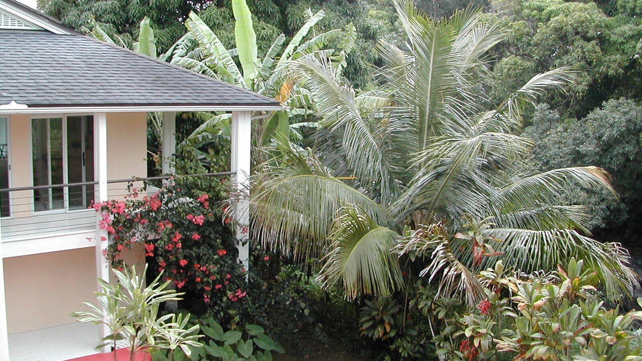 Photo of Outdoor in Puuiki