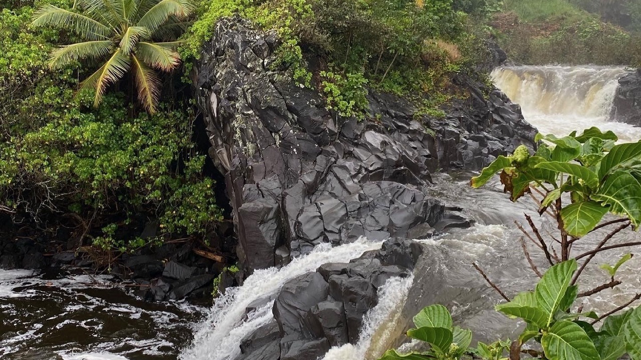 Photo of Outdoor in Puuiki