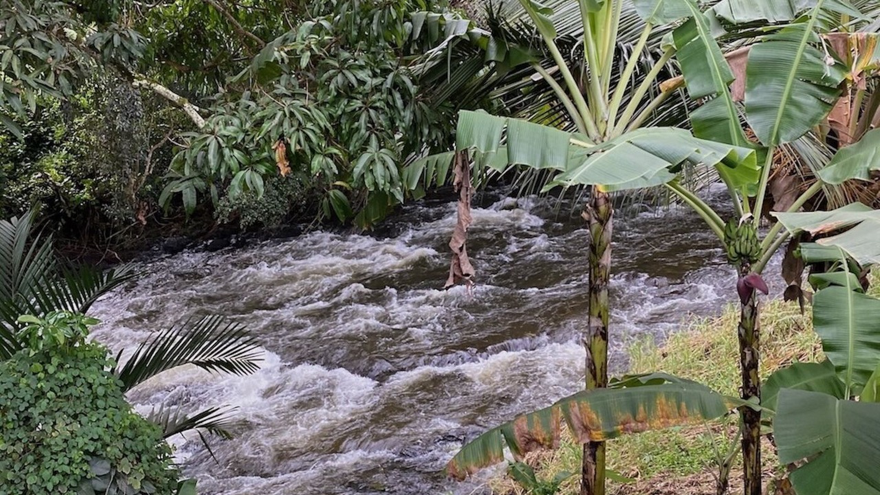 Photo of Outdoor in Puuiki