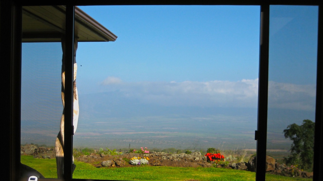 Photo of Others in Kula