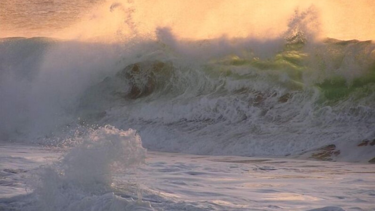 Photo of Others in Maunaloa