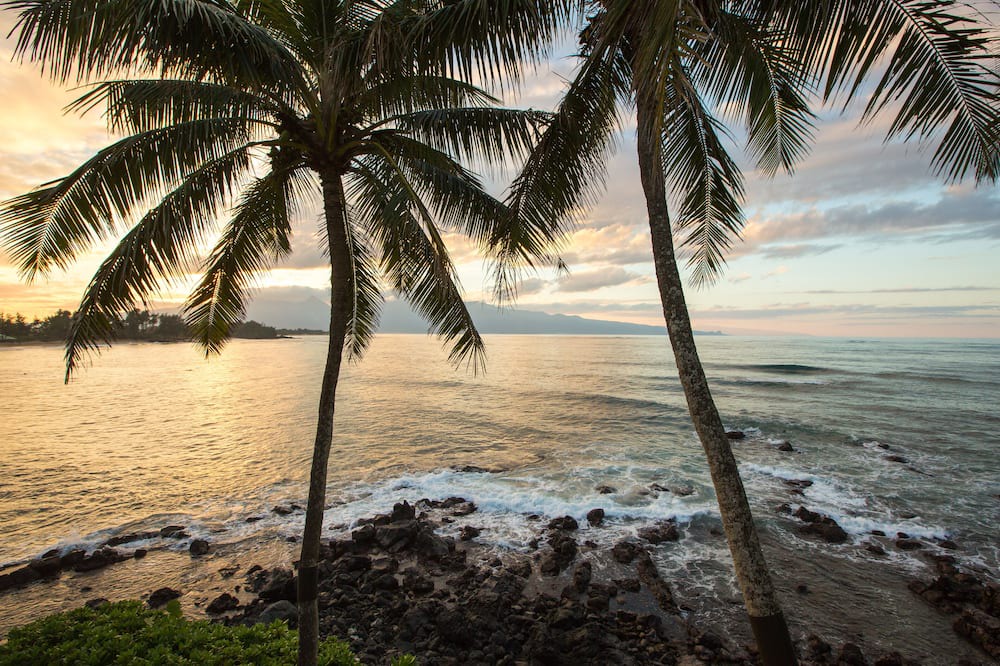 Photo of Others in Paia