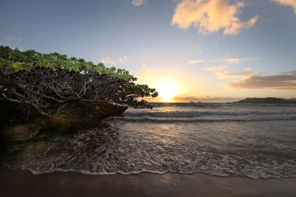 Photo of Others in Kailua