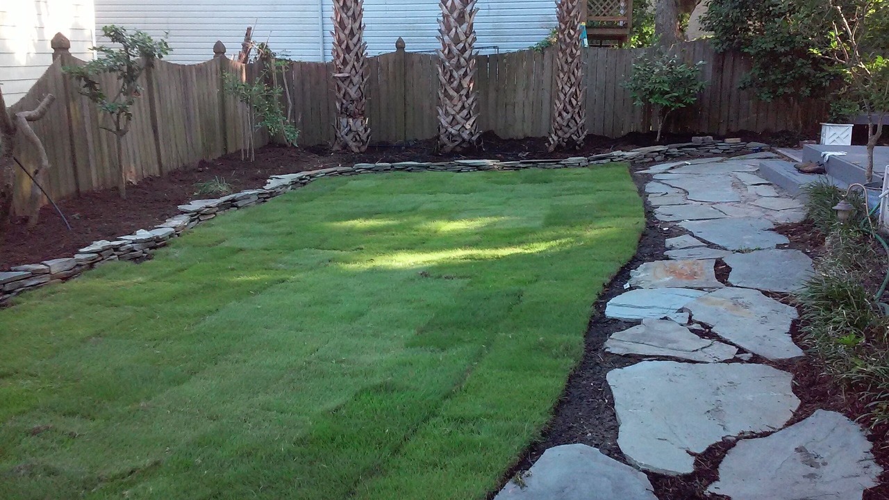 Photo of Outdoor in Airlie