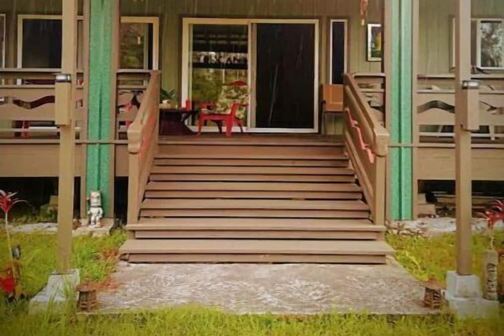 Photo of Outdoor in Fern Forest