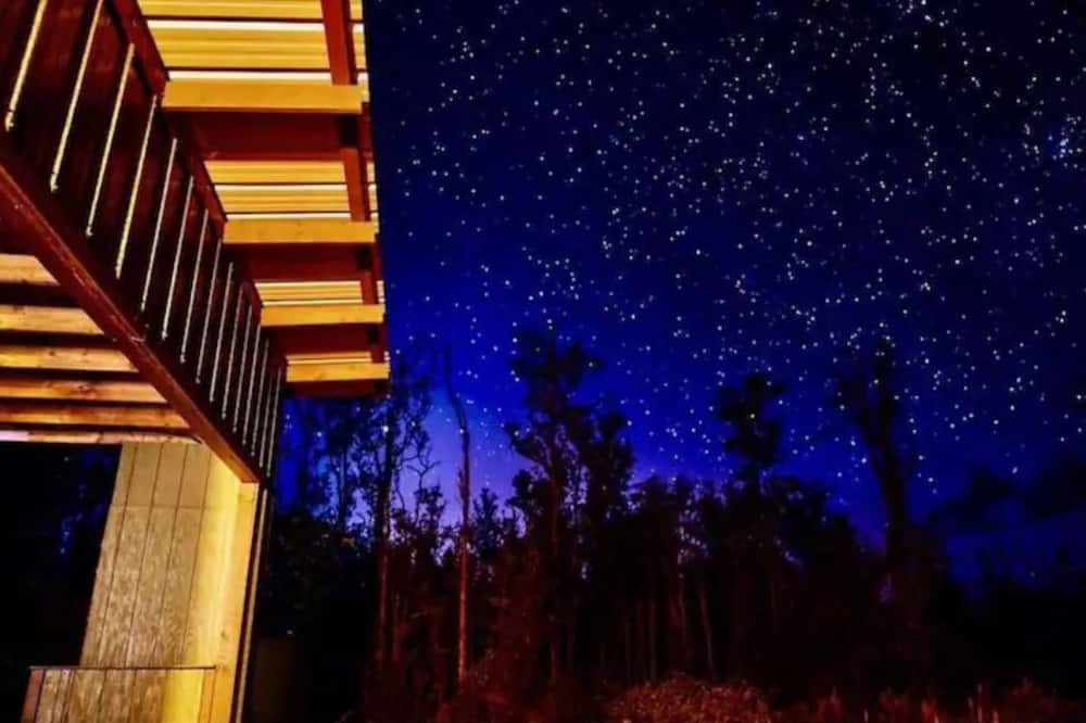 Photo of Outdoor in Fern Forest