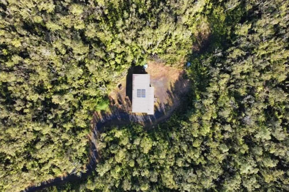 Photo of Outdoor in Fern Forest