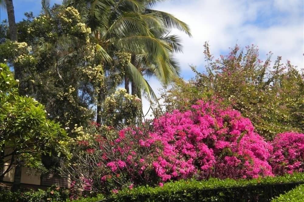 Photo of Others in Wailea