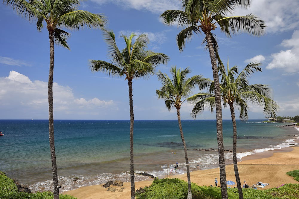 Photo of Others in Wailea