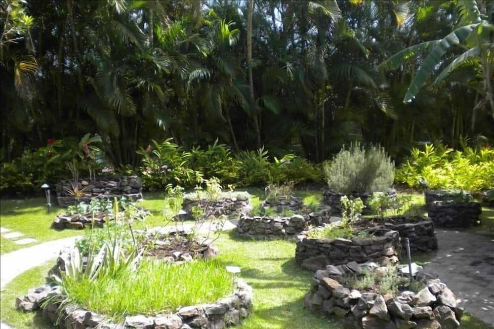 Photo of Outdoor in Wailea