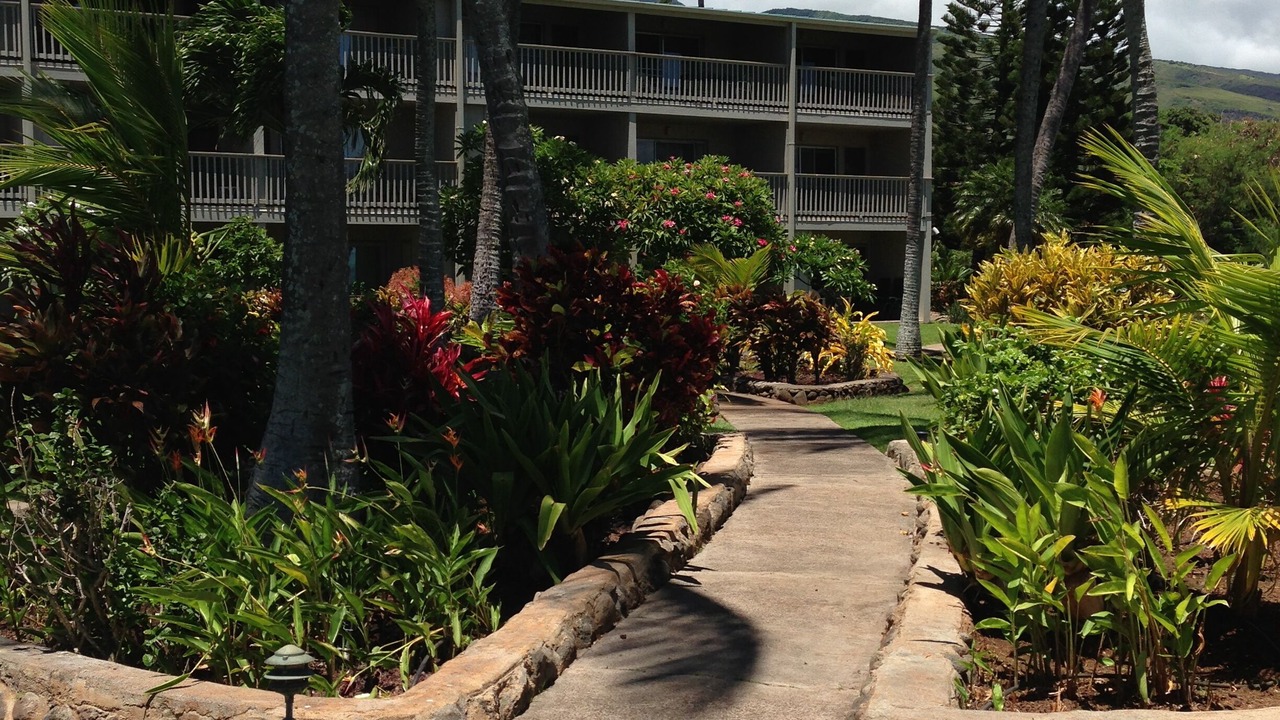 Photo of Outdoor in Ualapue