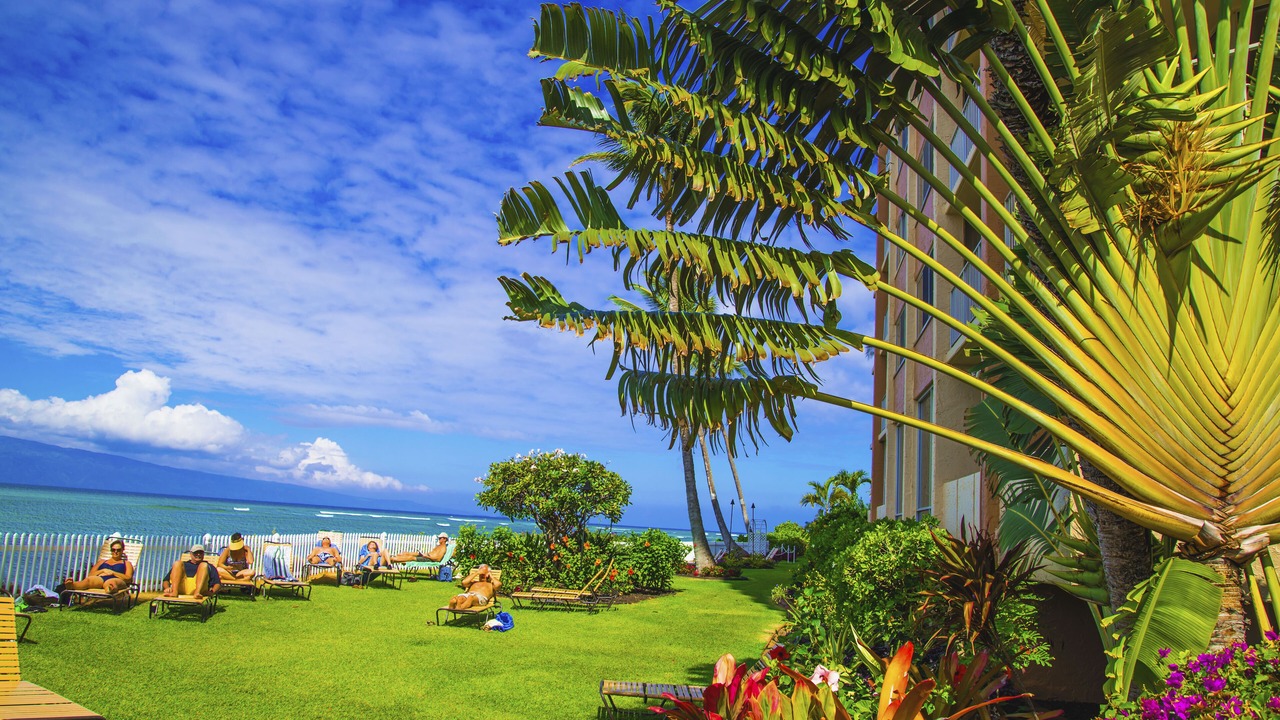 Photo of Others in Kahana