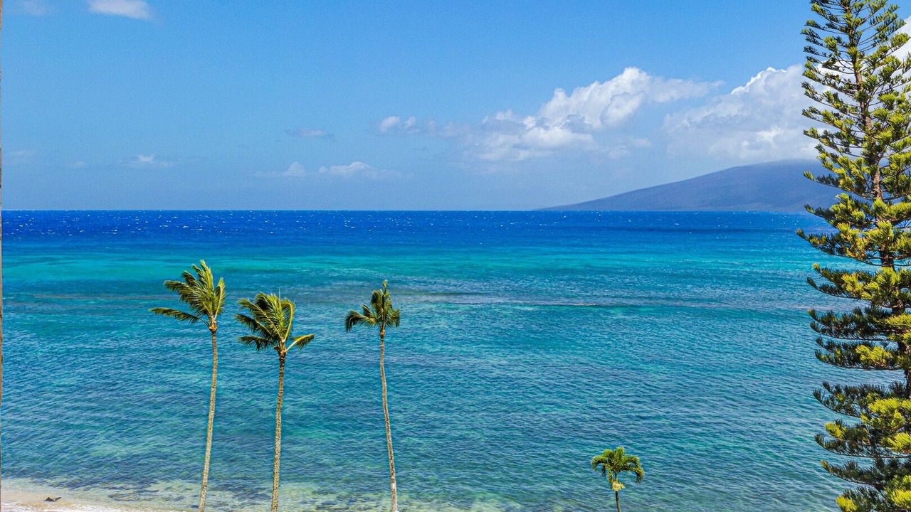 Photo of Others in Kahana