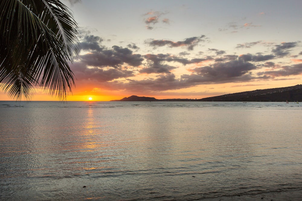 Photo of Others in Portlock