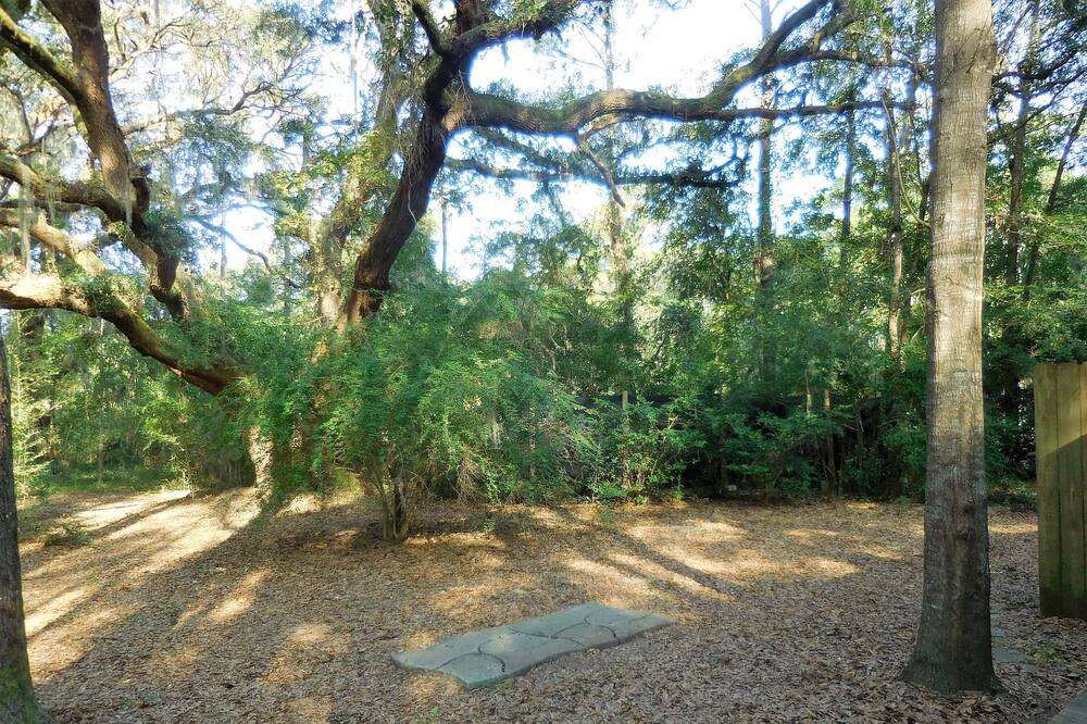 Photo of Others in Edisto Island