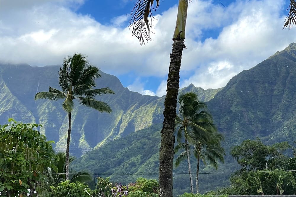 Photo of Others in Hanalei Palms