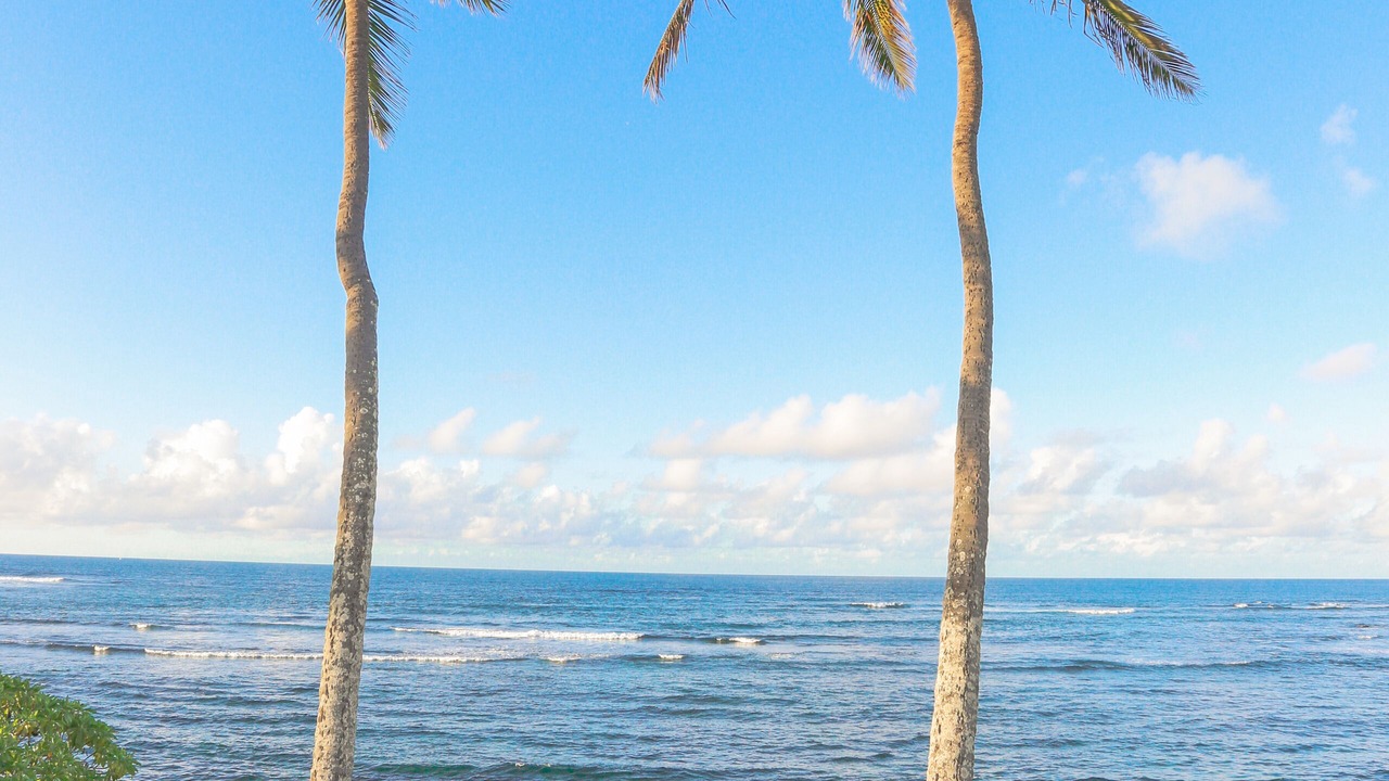 Photo of Others in Mokuleia
