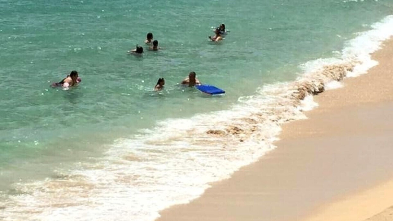 Photo of Human In Picture in Waianae