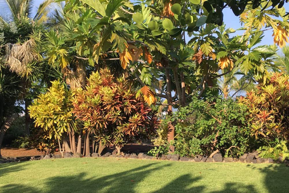 Photo of Outdoor in Kona Palisades