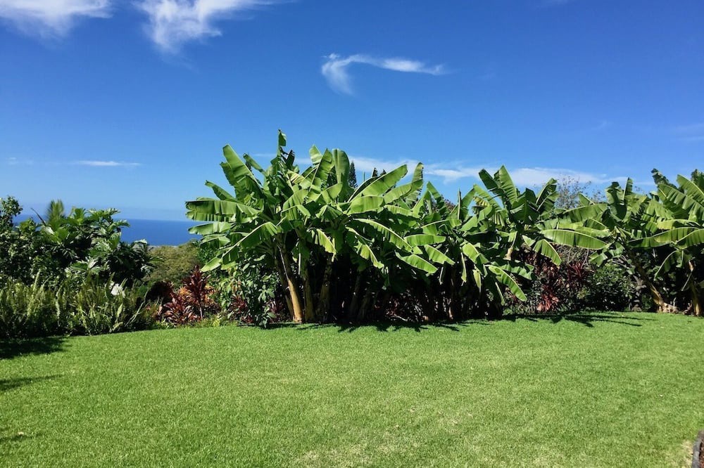 Photo of Outdoor in Kona Palisades