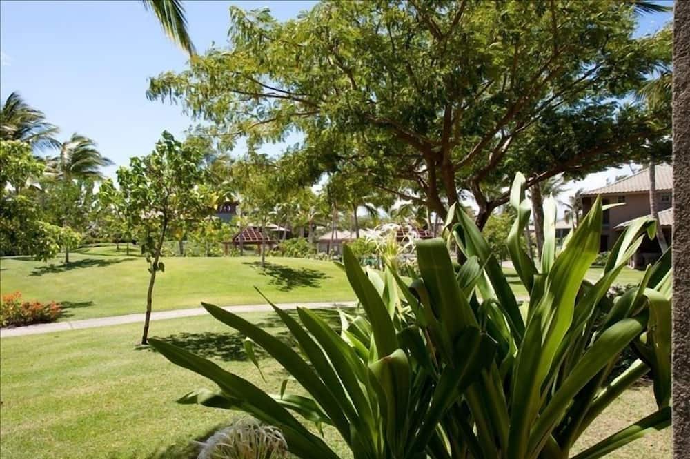 Photo of Outdoor in Kamuela