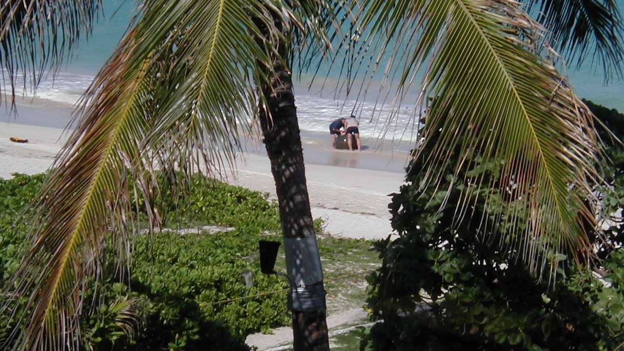 Photo of Others in Kailua
