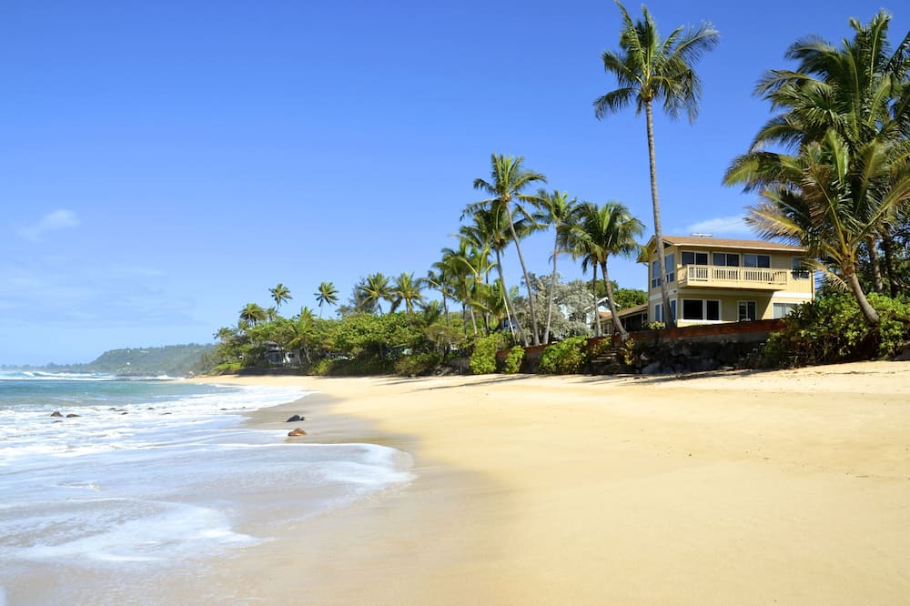 Photo of Others in Haleiwa