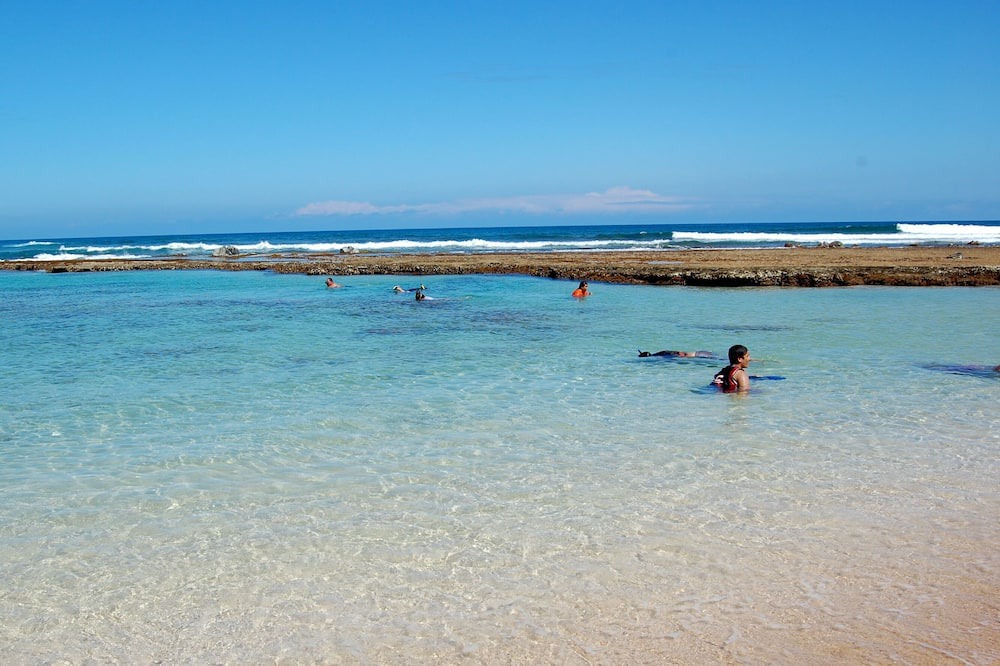 Photo of Others in Haleiwa