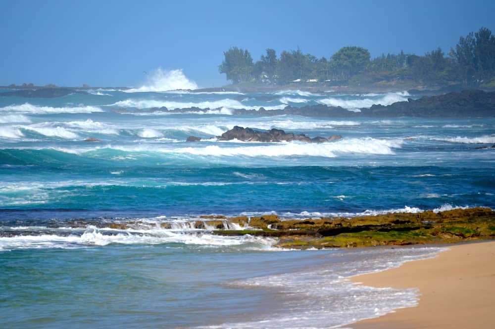 Photo of Others in Haleiwa