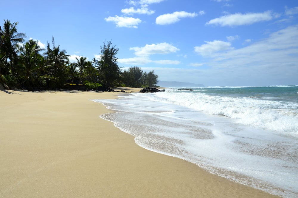 Photo of Outdoor in Haleiwa