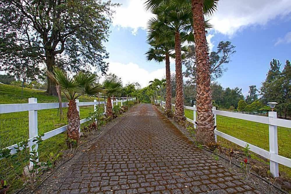 Photo of Outdoor in Holualoa