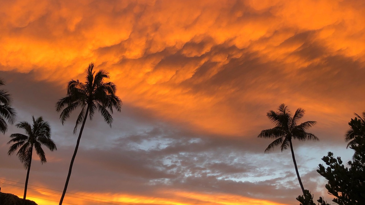 Photo of Outdoor in Lanikai