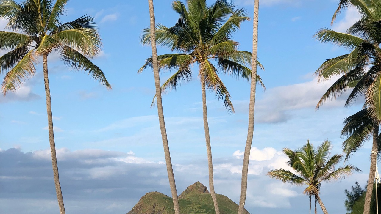 Photo of Outdoor in Lanikai